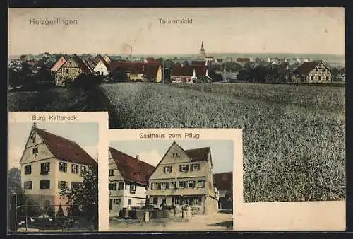 AK Holzgerlingen, Gasthaus zum Pflug, Burg Kalteneck, Gesamtansicht