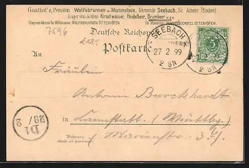 Lithographie Seebach / Schwarzwald, Gasthof und Pension Wolfsbrunnen, Mummelsee, Signalturm Hornisgrinde
