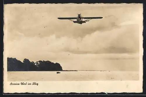 AK Wasserflugzeug Dornier-Wal im Flug