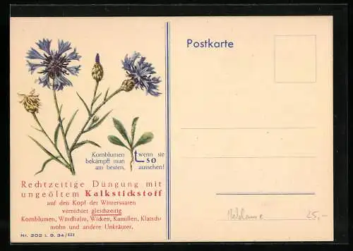 AK Reklame für ungeölten Kalkstickstoff, Kornblumen