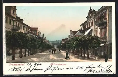 AK Franzensbad, Kaiserstrasse mit Alleebäumchen