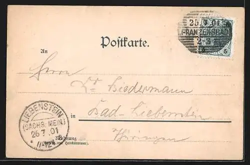 AK Franzensbad, Culmerstrasse mit Pferdekutsche