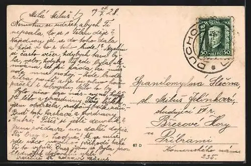 AK Dux, Strassenpartie im Villenviertel