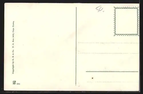 AK Port Elizabeth, Main Street looking south, Strassenbahn