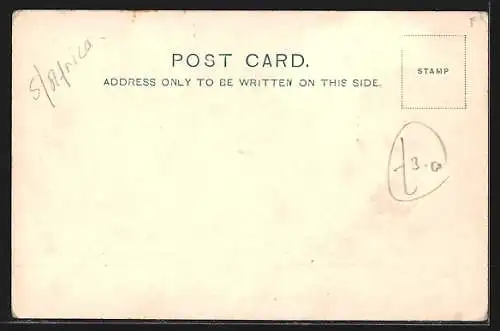 AK Durban, West Street, Strassenbahn