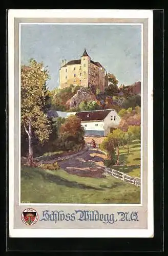 Künstler-AK Rudolf Schmidt: Deutscher Schulverein Nr. 584: Wildegg, Schloss Wildegg