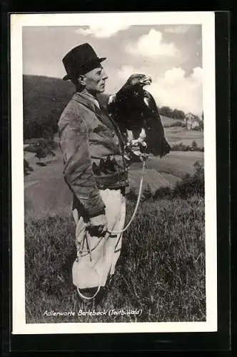 AK Berlebeck /Teutb. Wald, Adlerwarte, Steinadler Udo auf der Hand