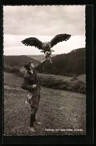 AK Nagold /Schwarzwald, Falkenhof Walddorf, Falkner mit See-Adler Cora