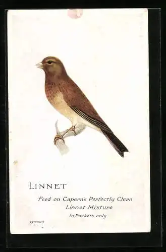 AK Linnet, Feed on Capern`s Perfectly Clean Linnet Mixtupe, In Packets only