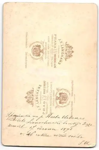 Fotografie Langhans, Prag, Wassergasse 37, Bürgerlicher Herr im Dreiteiler mit Seitenscheitel und Vollbart