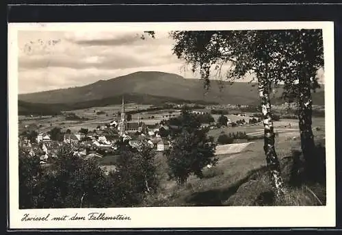 AK Zwiesel, Totalansicht mit dem Falkenstein
