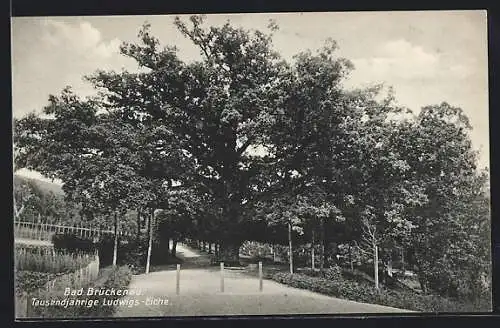 AK Bad Brückenau, Tausendjährige Ludwigs-Eiche