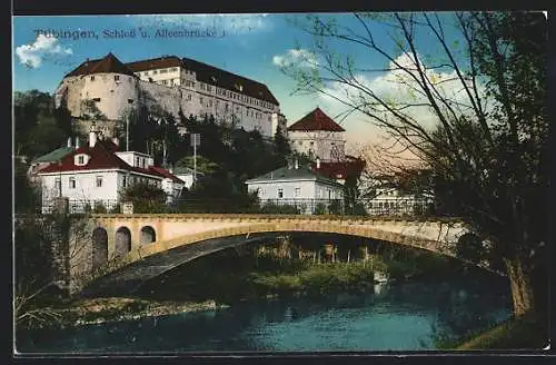 AK Tübingen, Schloss und Alleenbrücke