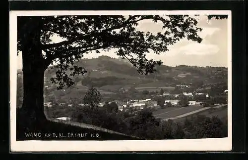 AK Wang an der kleinen Erlauf, Ortsansicht von einer Anhöhe mit Baum