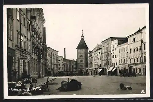 AK Wels, Strassenpartie mit Geschäften, Hund