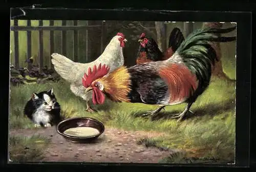 Künstler-AK August Müller - München: Hahn & Katze vor Futternapf, Hennen