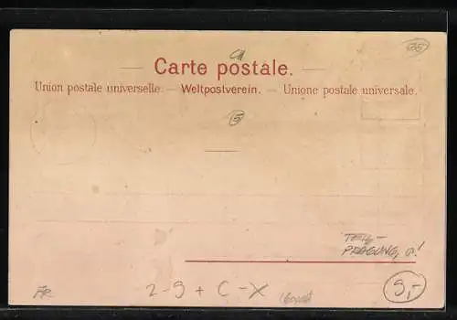 Lithographie Schweiz, Verschiedene Briefmarken, Stadt-Post Basel, Edelweiss, Private Stadtpost