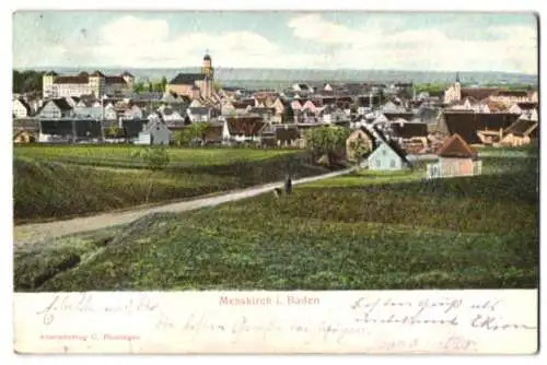 Relief-AK Messkirch i. Baden, Blick über Felder auf den Ort