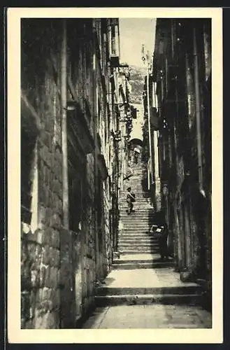 AK Dubrovnik, Boskoviceva ulica