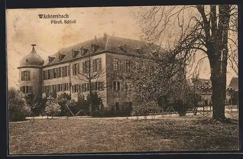 AK Wächtersbach, Fürstl. Schloss mit blühenden Bäumen