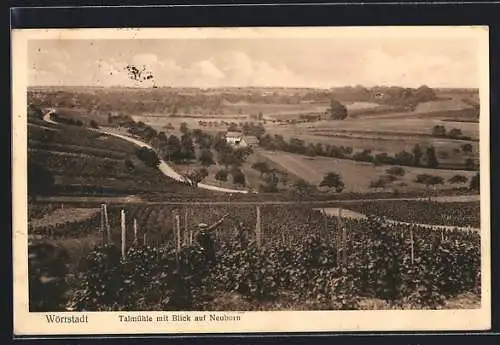 AK Wörrstadt, Talmühle mit Blick auf Neuborn