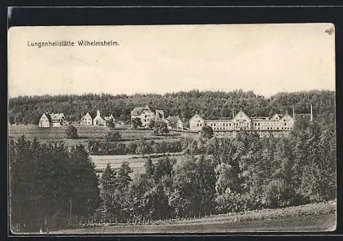 AK Wilhelmsheim, Fernblick zum Ort