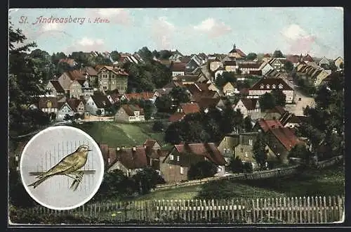 AK St. Andreasberg / Harz, Blick von der Anhöhe auf den Ort