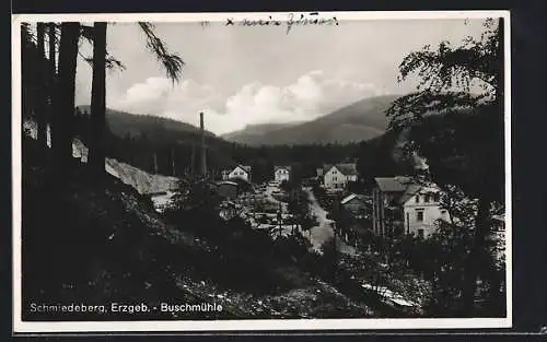 AK Schmiedeberg /Erzgeb., Blick zum Gasthaus Buschmühle