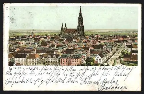 Lithographie Ulm / Donau, Totalansicht aus der Vogelschau
