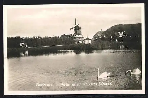 AK Norderney, Partie an der Napoléon-Schanze, Schwäne auf dem Wasser