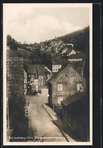 AK Bad Lauterberg / Harz, Ritscherstrasse mit Weinberg
