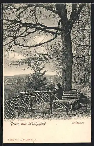 AK Königsfeld / Baden, Veilseiche mit Bank