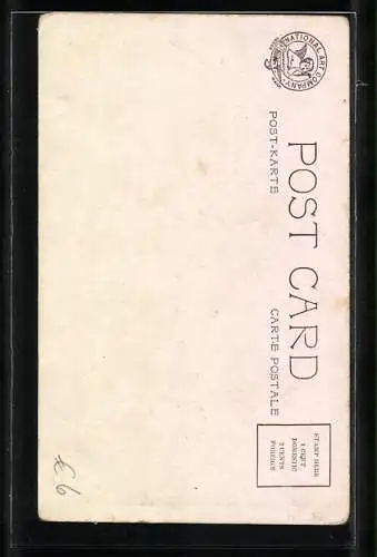 AK Rückenansicht von Reiterin mit Jagdhunden