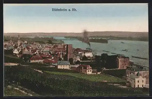 AK Rüdesheim a. Rh., Blick über Dächer und Fluss
