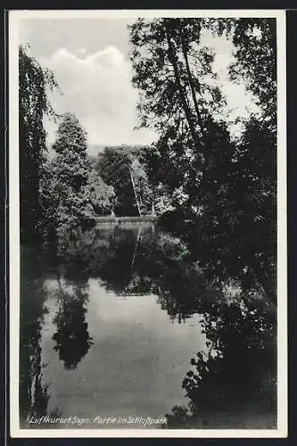 AK Sayn, Partie im Schlosspark