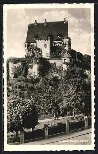 AK Leipheim /Donau, Blick auf das Schloss