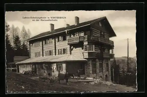 AK Puchenstuben, Winterbach an der Mariazellerbahn, Lehrer-Erholungsheim