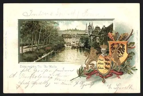 Passepartout-Lithographie Esslingen / Neckar, Maille, Wappen