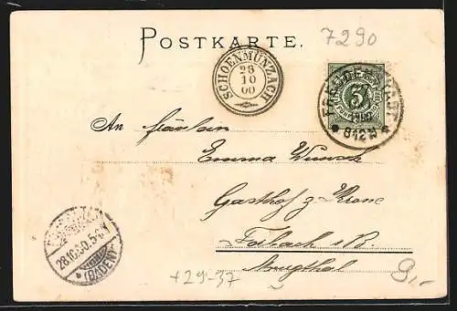 Passepartout-Lithographie Freudenstadt, Totalansicht, Gasthaus Friedrichshöhe, Wappen