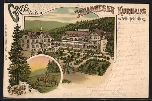 Lithographie Zellerfeld /Harz, Johanneser Kurhaus aus der Vogelschau