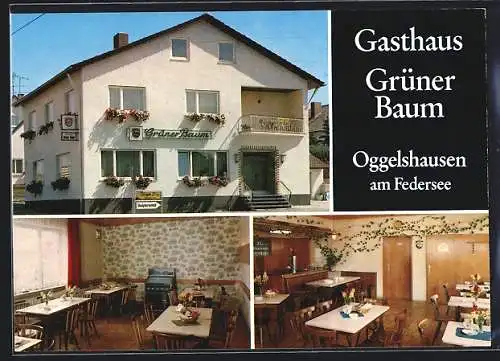 AK Oggelshausen am Federsee, Gasthaus Grüner Baum in drei Ansichten