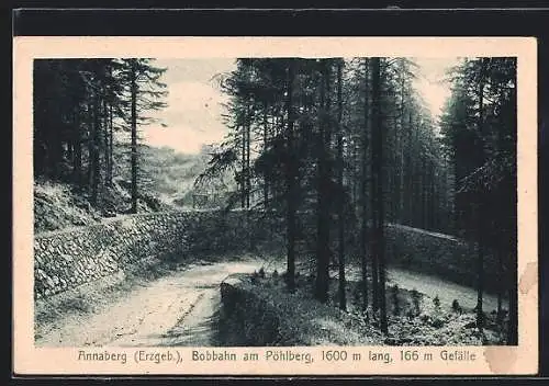 AK Annaberg / Erzg., Bobbahn am Pöhlberg, 1600 m lang, 166 m Gefälle