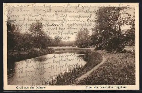 AK Dubrow, Uferpartie mit Bäumen