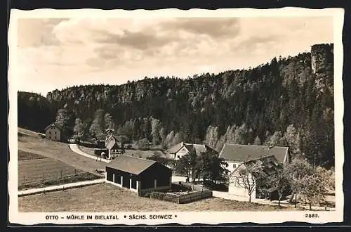 AK Bielatal /Sächs. Schweiz, Otto-Mühle mit Strassenpartie