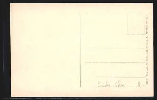 AK Polenztal /Sächs. Schweiz, Ortspartie