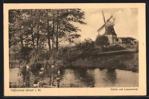 AK Graal, Windmühle mit Lehrerteich