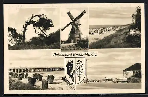 AK Graal-Müritz, Ortsansicht, Strandpartie, Windmühle