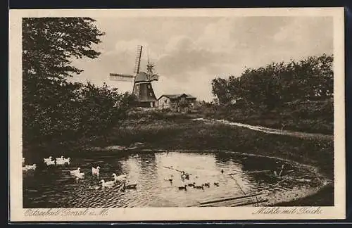 AK Graal /Ostsee, Windmühle mit Teich