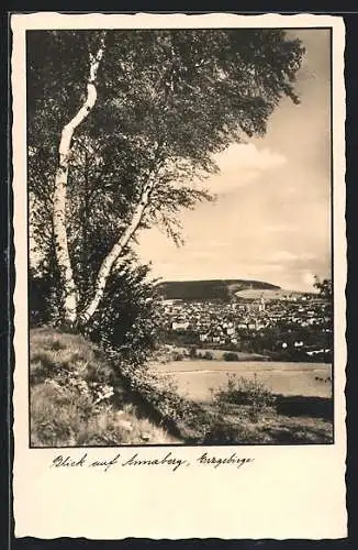 AK Annaberg /Erzgebirge, Teilansicht mit Birken