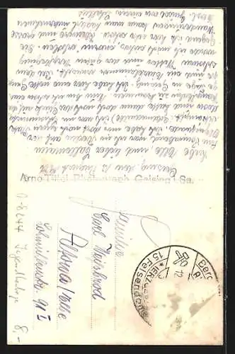 AK Geising im Erzgeb., Totalansicht mit Geisingberg